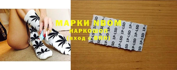 ПСИЛОЦИБИНОВЫЕ ГРИБЫ Лабытнанги