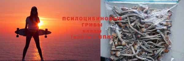 соль ск Ладушкин
