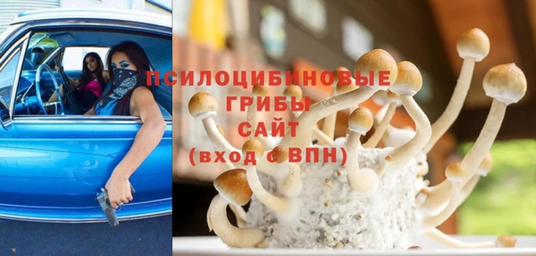 соль ск Ладушкин
